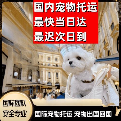 永川区到澳大利亚（澳洲）宠物入境规定和要求